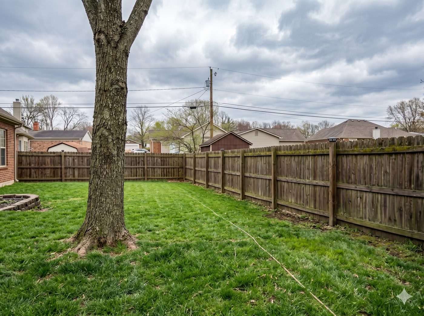 Wood fence before cleaning — green algae and weathered